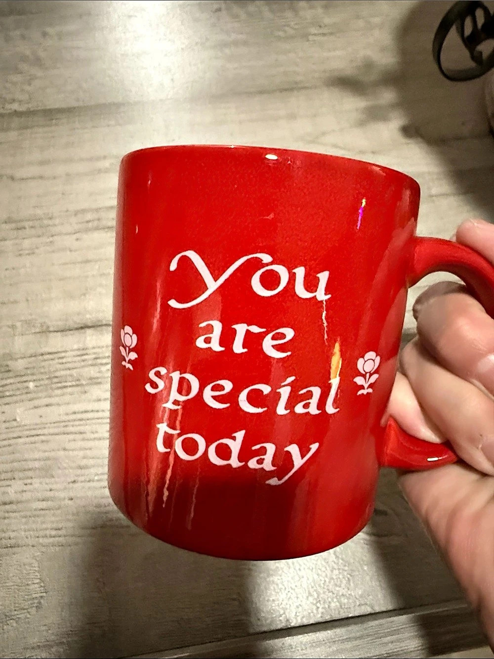 Wächtersbach Red "You Are Special Today" Mug